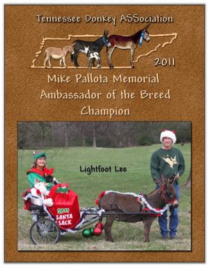 2011 Tennessee Donkey ASSociation High Point Ambassador (3-Way Tie)
