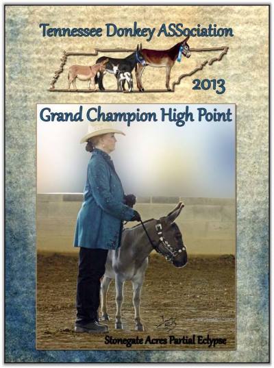 Mookie, 2013 Gennessee High Point Overall Grand Champion!