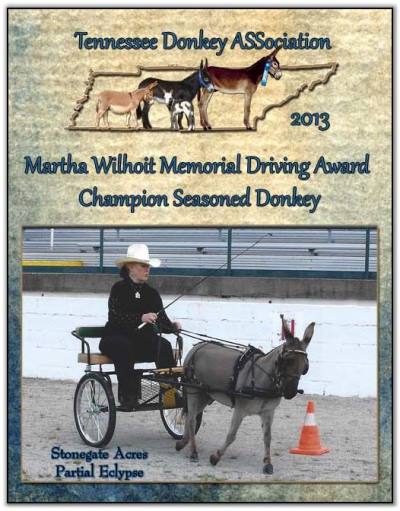 Mookie, 2013 Tennessee Martha Wilhoit Memorial Driving Award Champion Senior Donkey