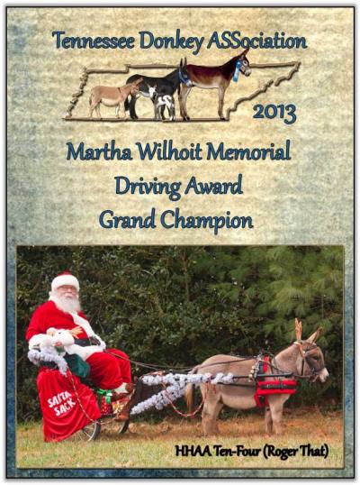 HHAA Ten-Four (Roger That), 2013 Martha Wilhoit Memorial Driving Award Grand Champion!