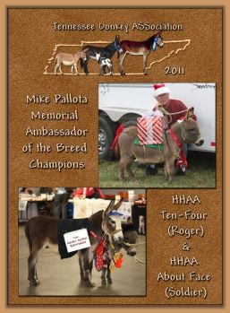 2011 Tennessee Donkey ASSociation's High Point Ambassador!
