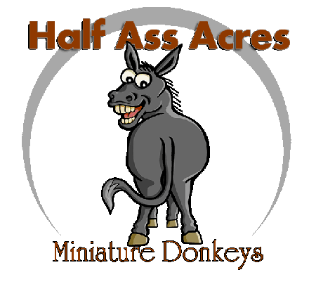 Half Ass Acres Miniature Donkeys For Sale Copywrited Logo