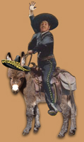 The Cisco Kid - copyright HAA Miniature Donkeys