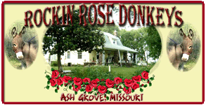 Rockin Rose Miniature Donkeys in Ash Grove, Missouri