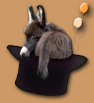 Secret's Out! - copyright Half Ass Acres Miniature Donkeys - Do Not Steal!