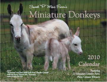 2010 Sweet P Mini Farm Calendar!